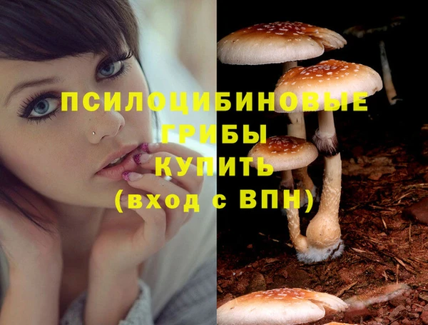 амф Куйбышев