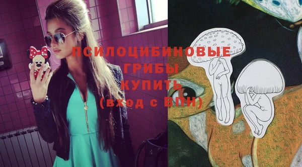 стафф Алексин