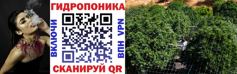 Шишки марихуана VHQ hydra Дмитриев